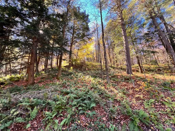 $175,000 | 50 Dugway Road, Hillsdale, NY 12529