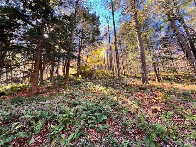 $199,000 | 50 Dugway Road, Hillsdale, NY 12529