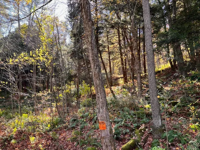 $199,000 | 50 Dugway Road, Hillsdale, NY 12529