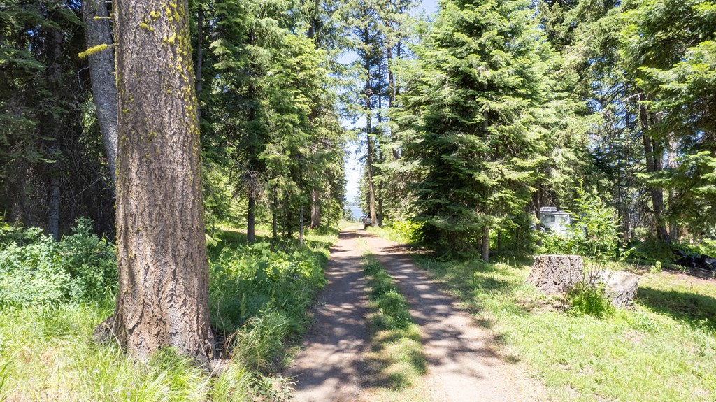 2207 Davy Road, Unit 23 Donnelly, ID 83615 - Photo 8 of 12 View to the east