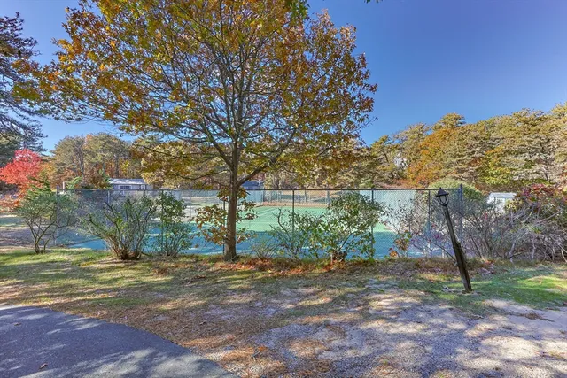 a view of a yard with a tree
