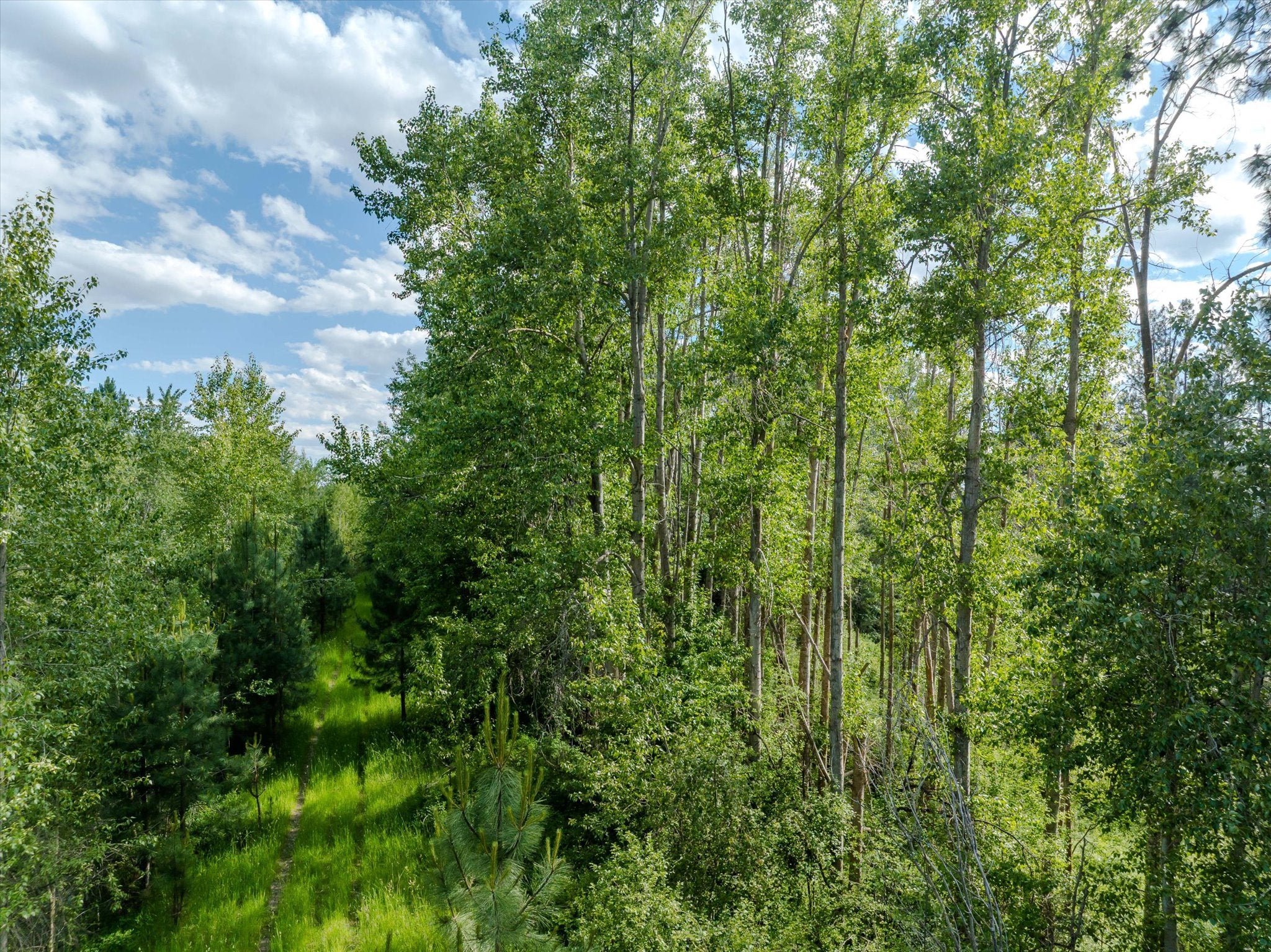 42439 Canal Road Ronan, MT 59864 - Photo 69 of 81 Gallery Image 69