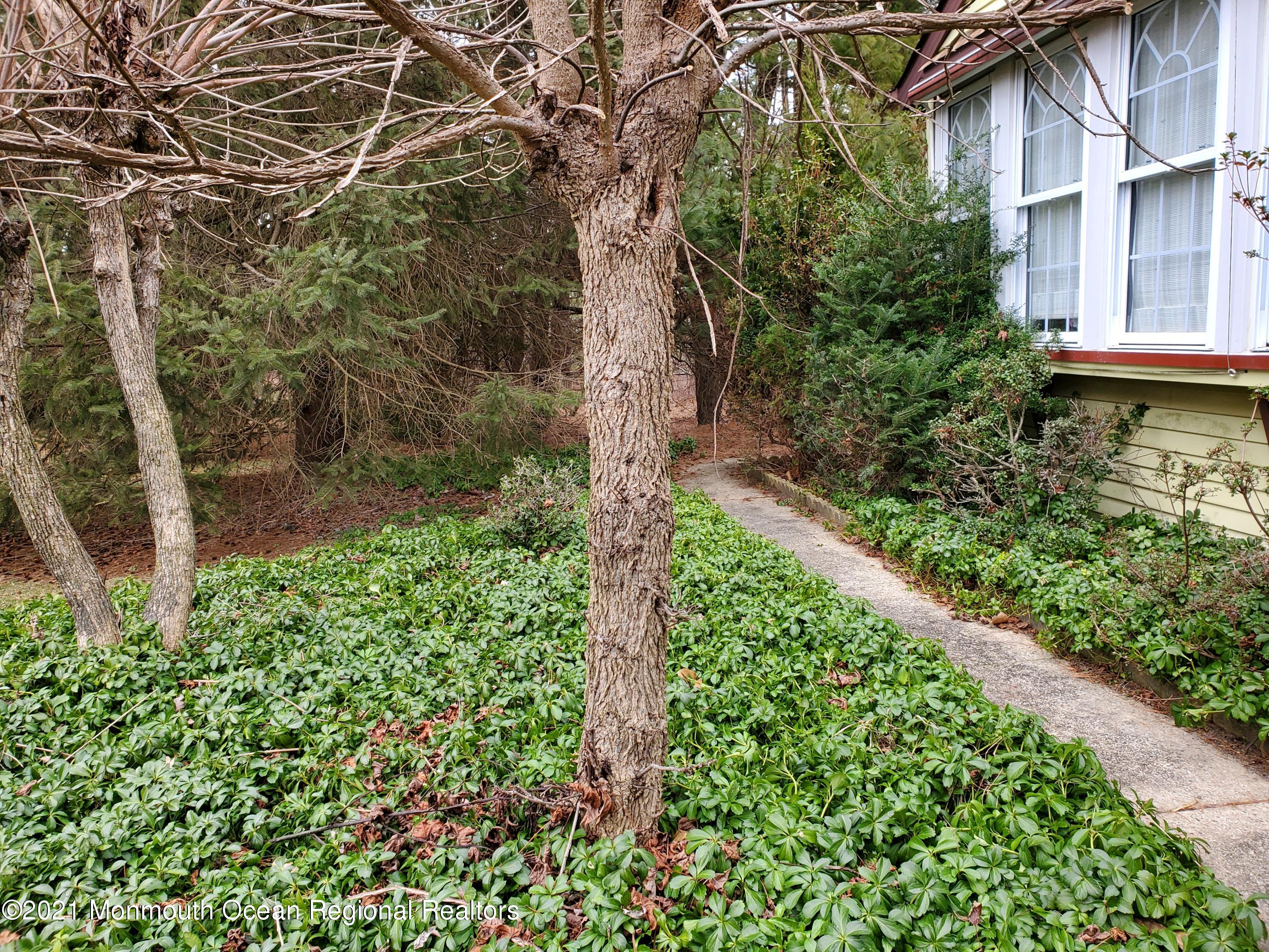 5 Stonybrook Road, Unit 60 Whiting, NJ 08759 - Photo 3 of 30 20210121_152104