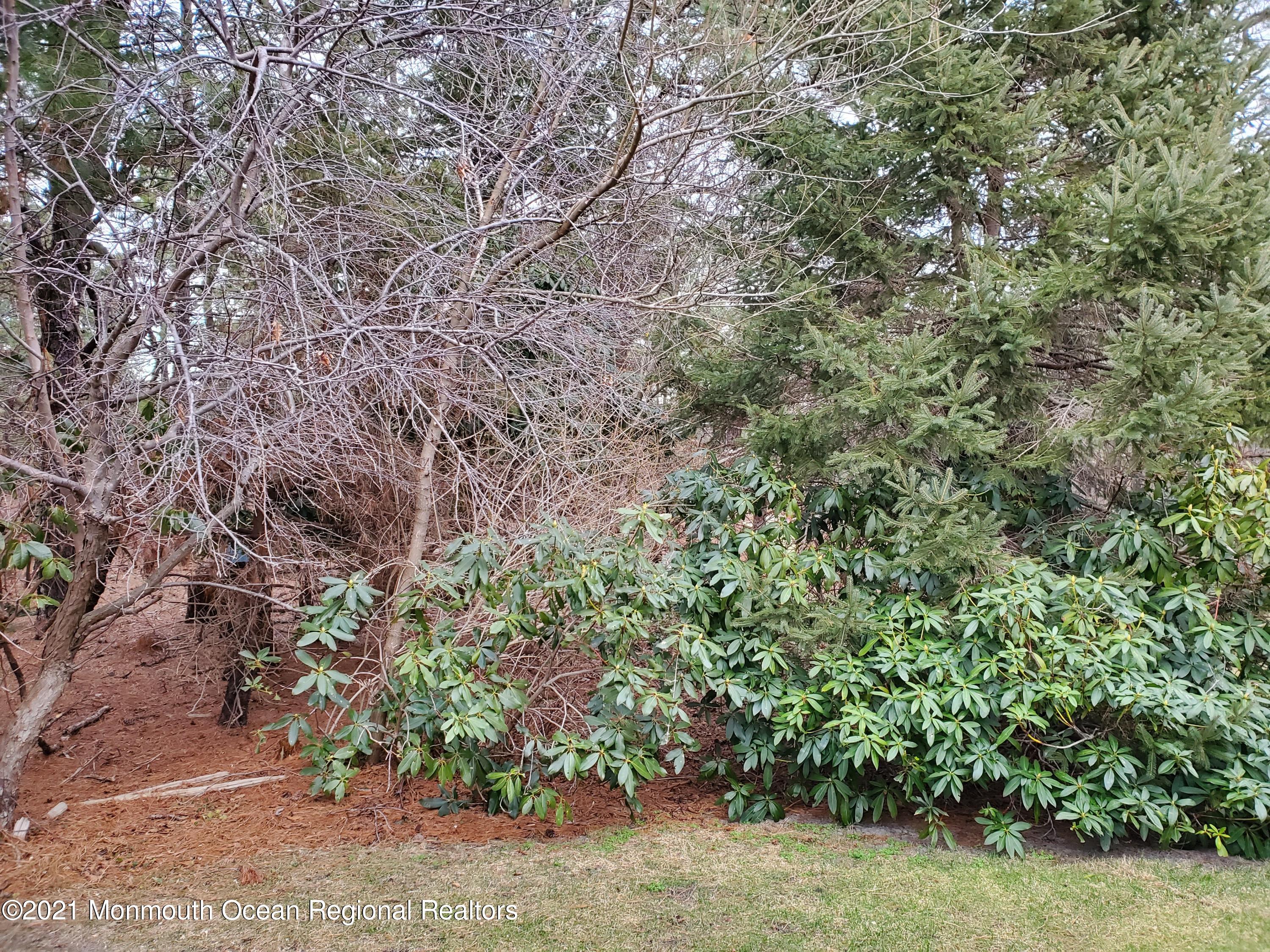 5 Stonybrook Road, Unit 60 Whiting, NJ 08759 - Photo 22 of 30 20210121_153858