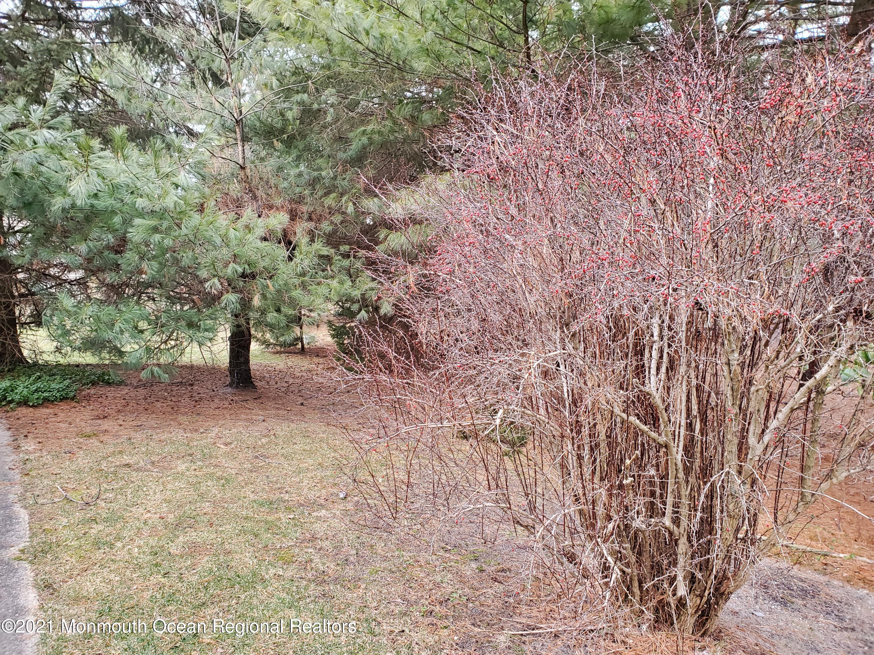 5 Stonybrook Road, Unit 60 Whiting, NJ 08759 - Photo 23 of 30 20210121_153904