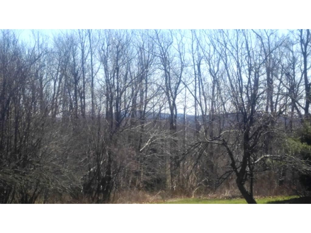 7 Leel Road New Ipswich, NH 03071 - Photo 6 of 36