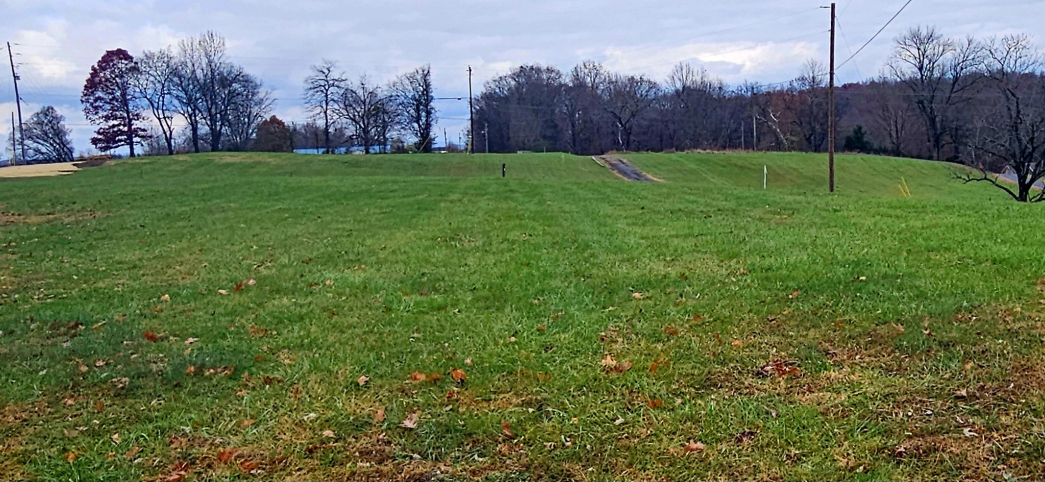 0 Berea Church Road Lebanon, TN 37087 - Photo 1 of 5 a view of yard with palm trees and wooden fence