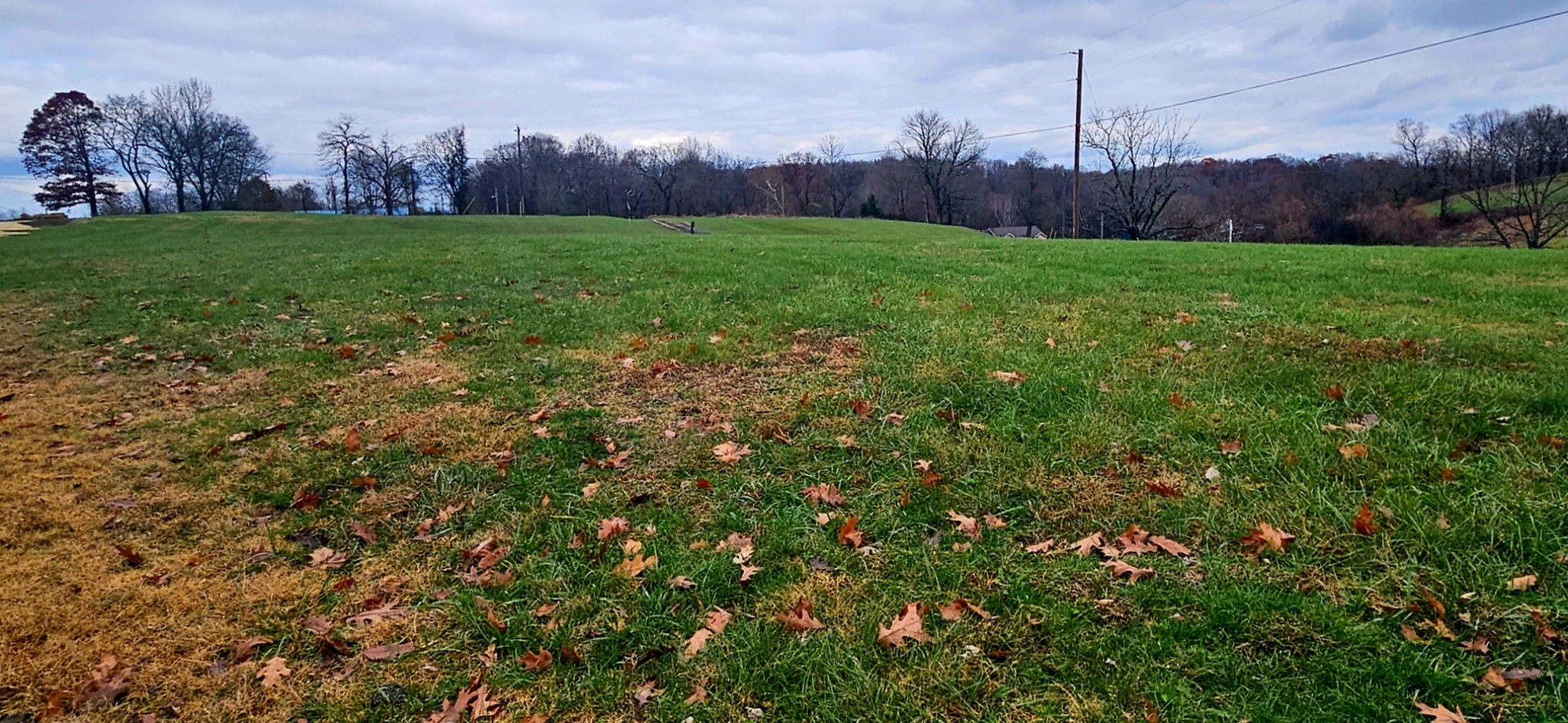 0 Berea Church Road Lebanon, TN 37087 - Photo 2 of 5 a view of yard