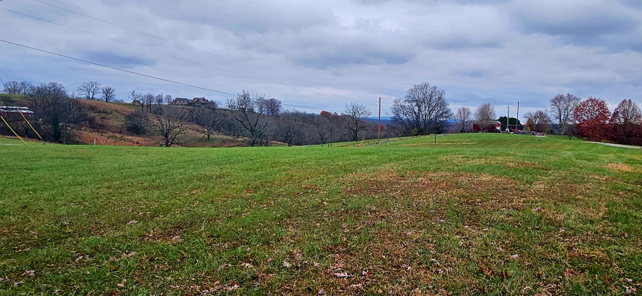 0 Berea Church Road Lebanon, TN 37087 - Photo 4 of 5 a view of a field with a big yard and a large trees