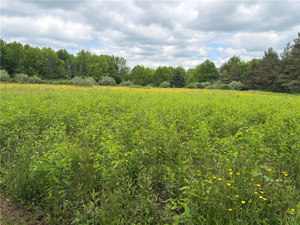 2571 Delude Road Dalton, NY 14836 - Photo 48 of 48