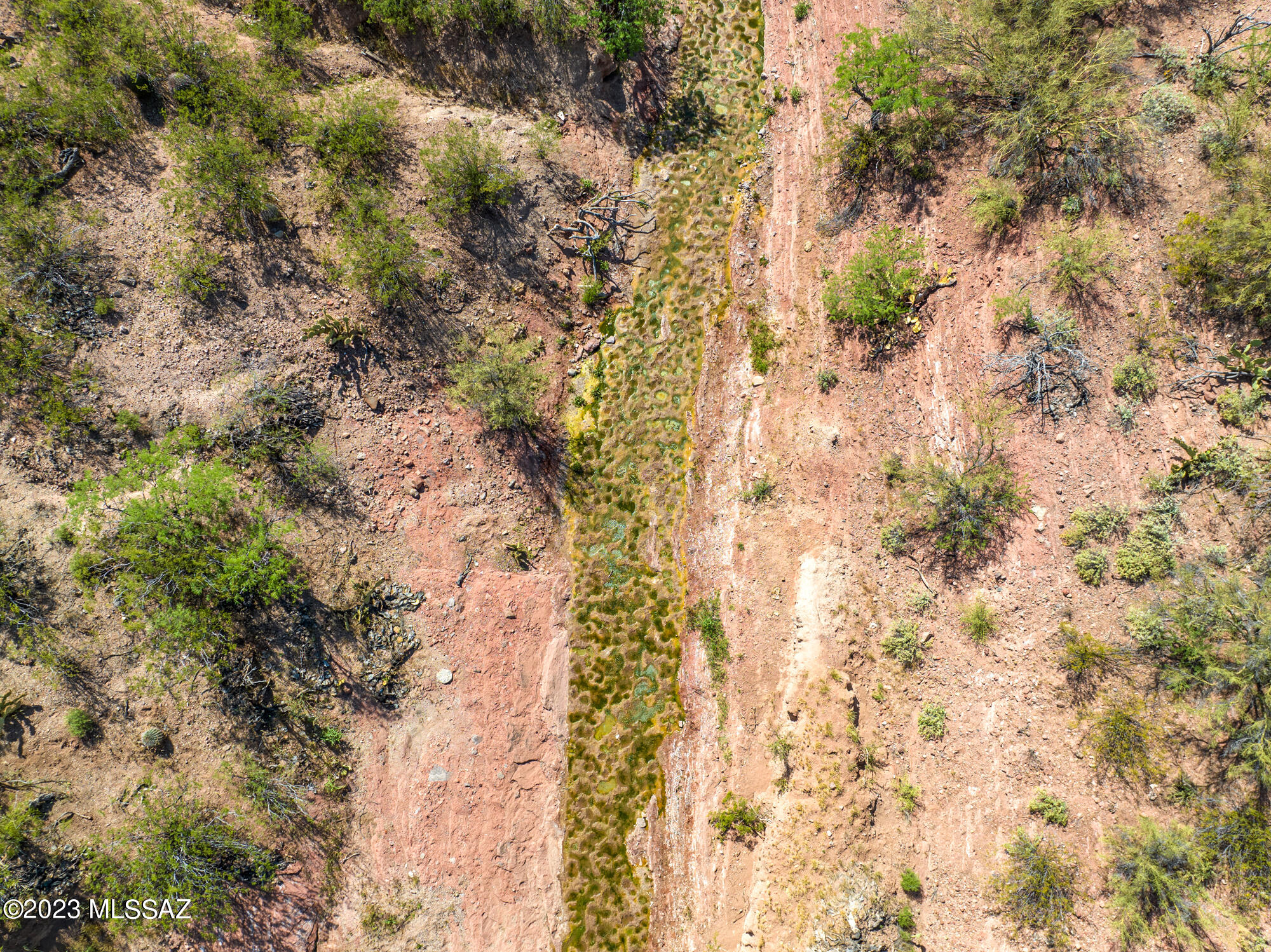 47245 East Forman Ranch Road Tucson, AZ 85739 - Photo 31 of 44