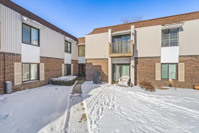 $255,000 | 7323 Blackburn Avenue, Unit 203, Downers Grove, IL 60516