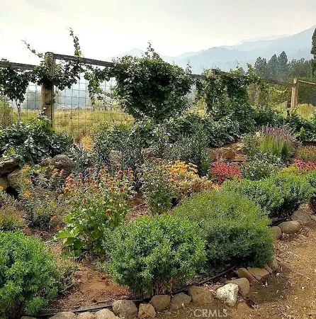 $495,000 | 42528 County Road 1, Lake City, CA 96115