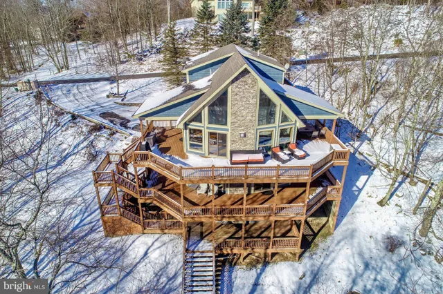 a view of a park with large tree