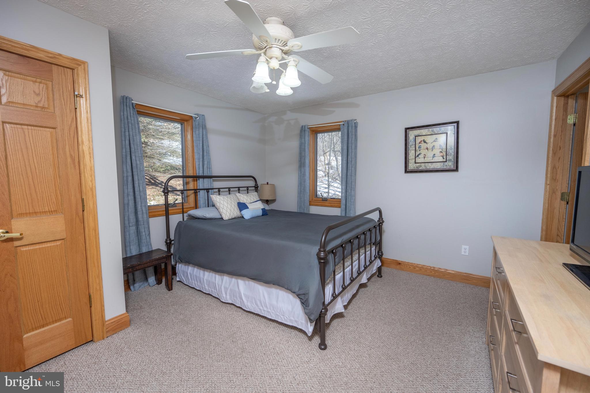 723 Pinnacle Drive Swanton, MD 21561 - Photo 14 of 107 Main level bedroom with a private bath.