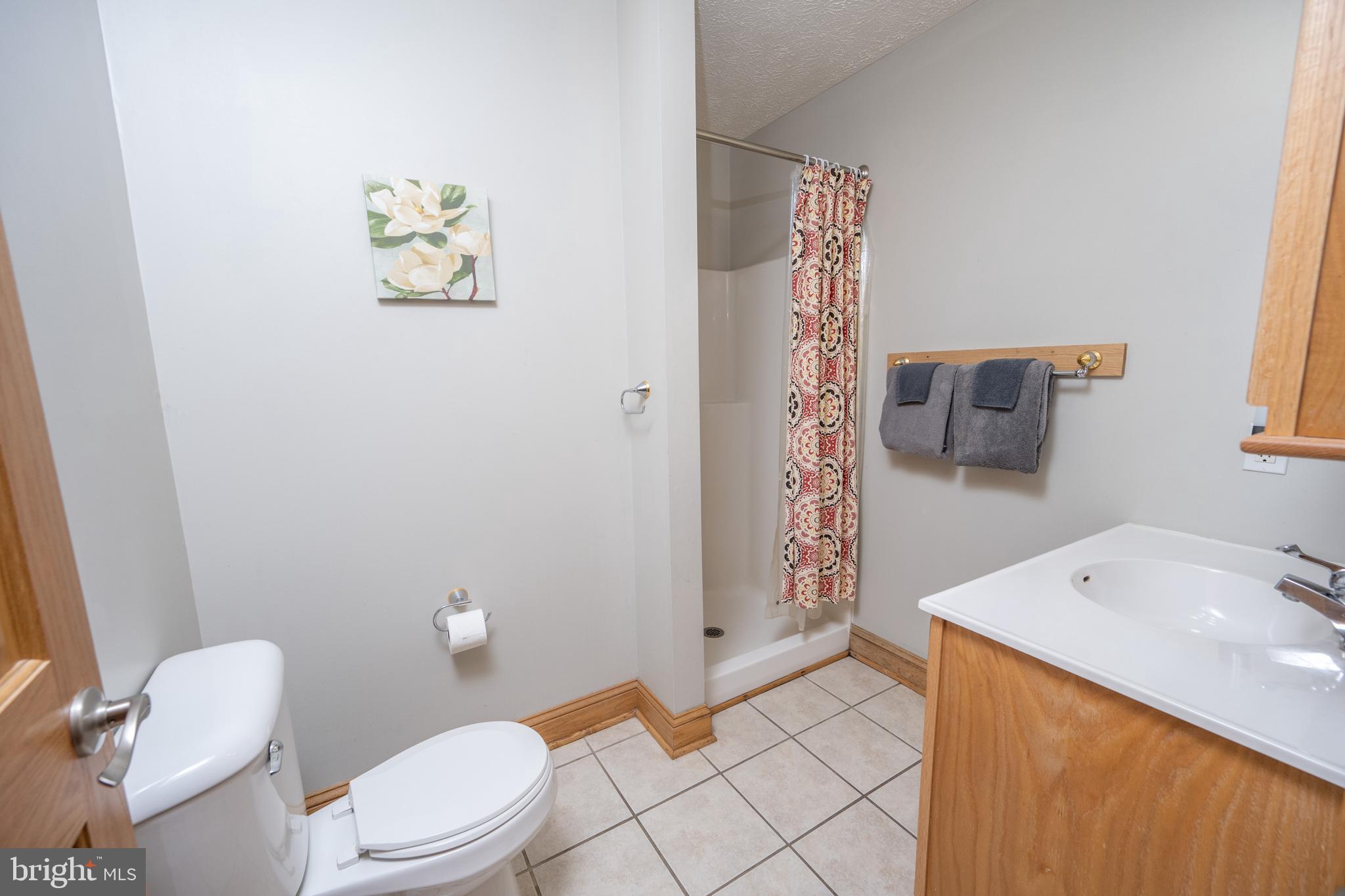 723 Pinnacle Drive Swanton, MD 21561 - Photo 17 of 107 Private main level bath.