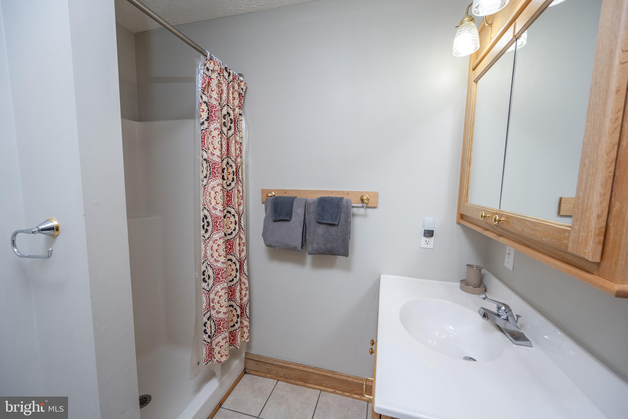 723 Pinnacle Drive Swanton, MD 21561 - Photo 18 of 107 Private main level bath.