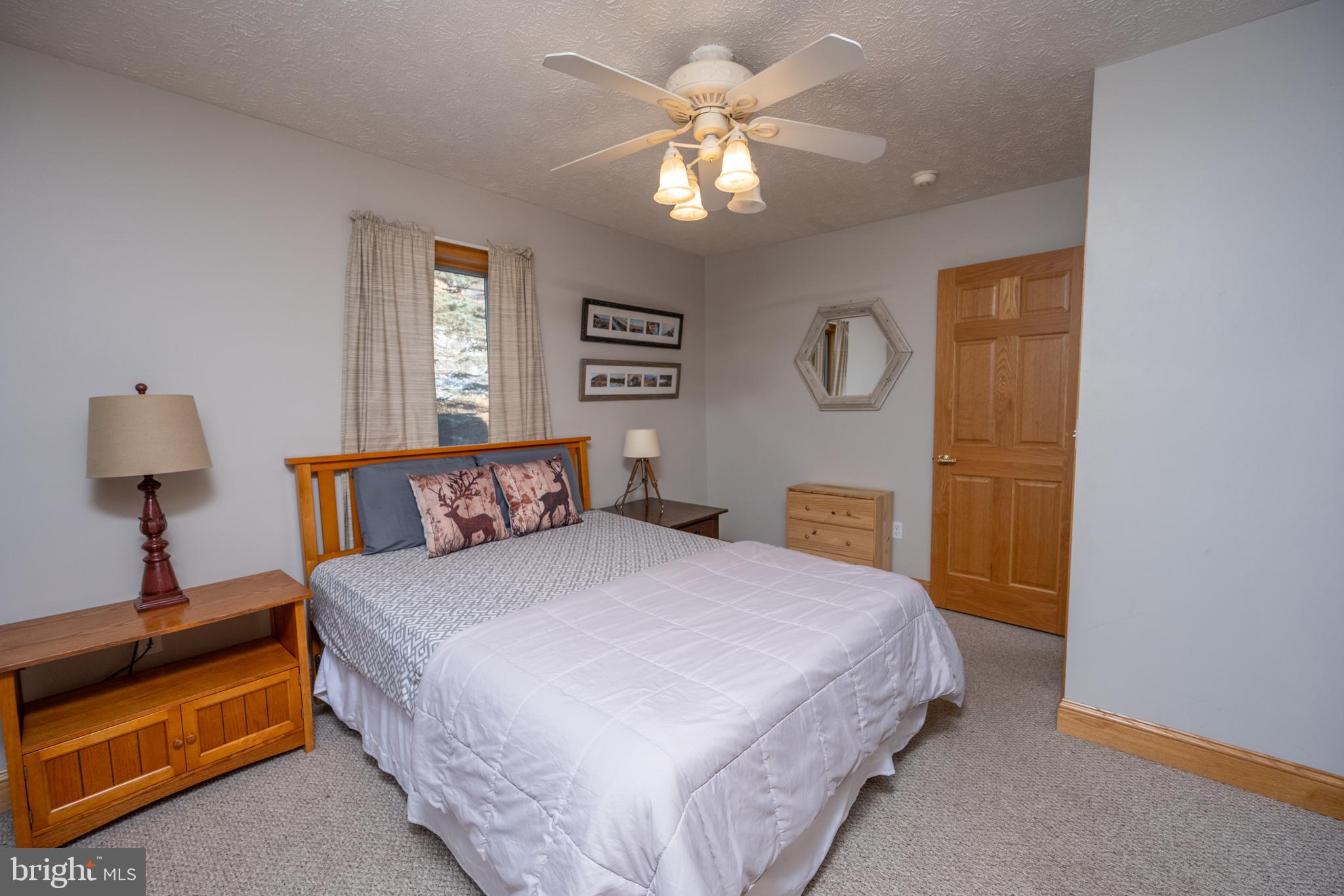723 Pinnacle Drive Swanton, MD 21561 - Photo 20 of 107 Spacious main level bedroom.