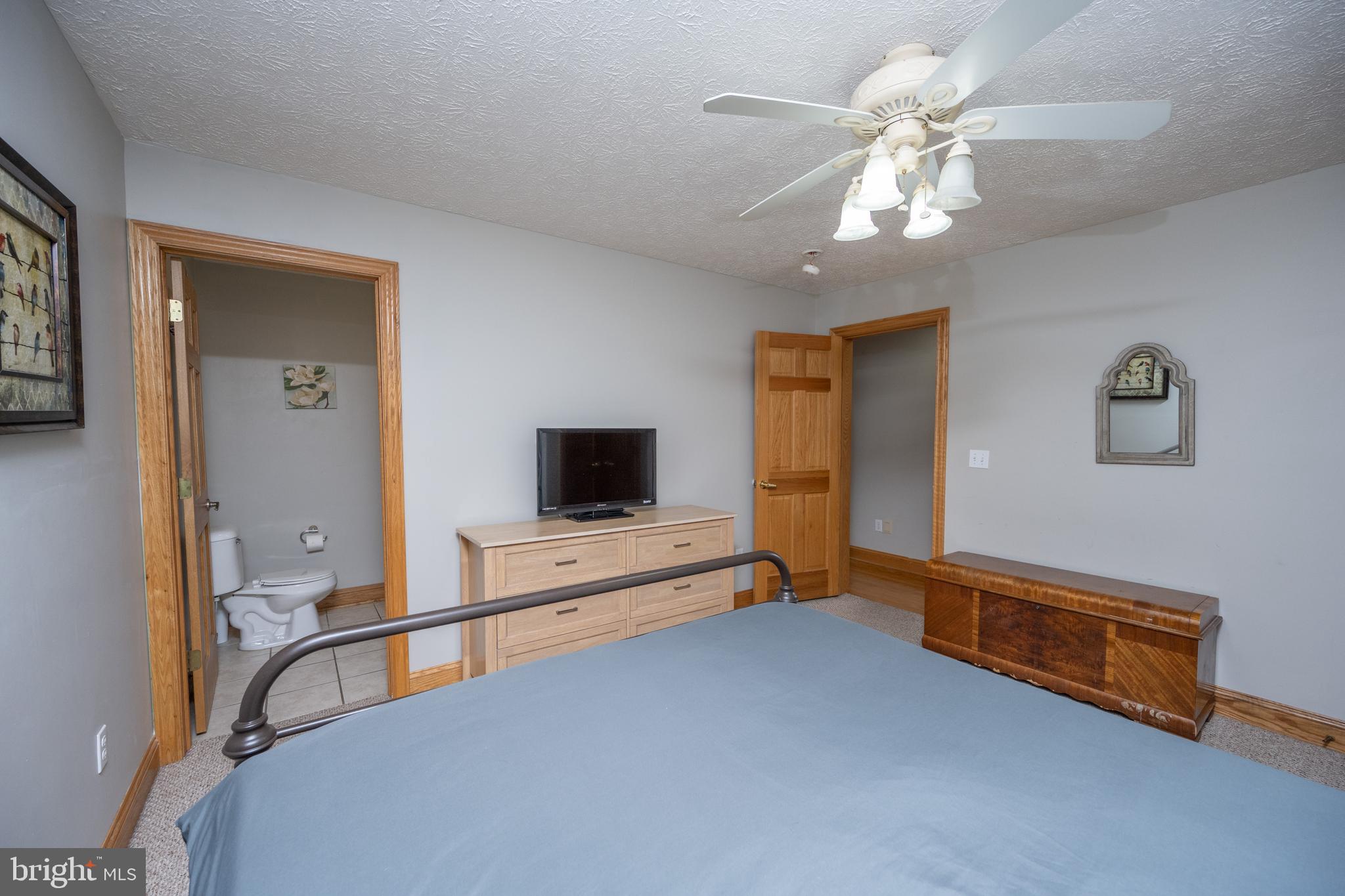 723 Pinnacle Drive Swanton, MD 21561 - Photo 21 of 112 Leading to the 2nd main level bedroom.