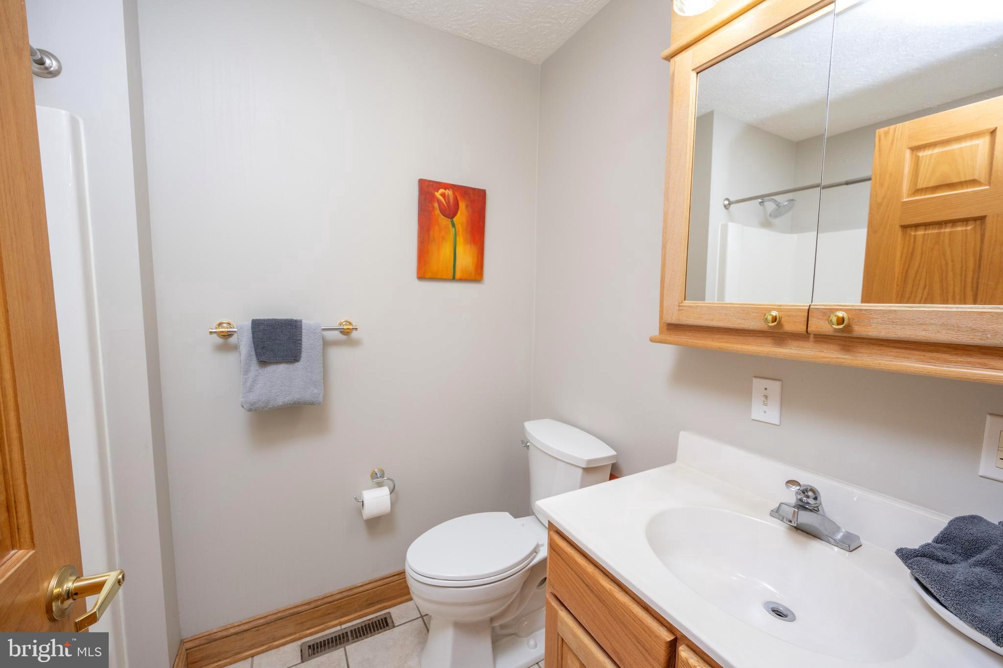 723 Pinnacle Drive Swanton, MD 21561 - Photo 25 of 112 Second full bath on the main level.