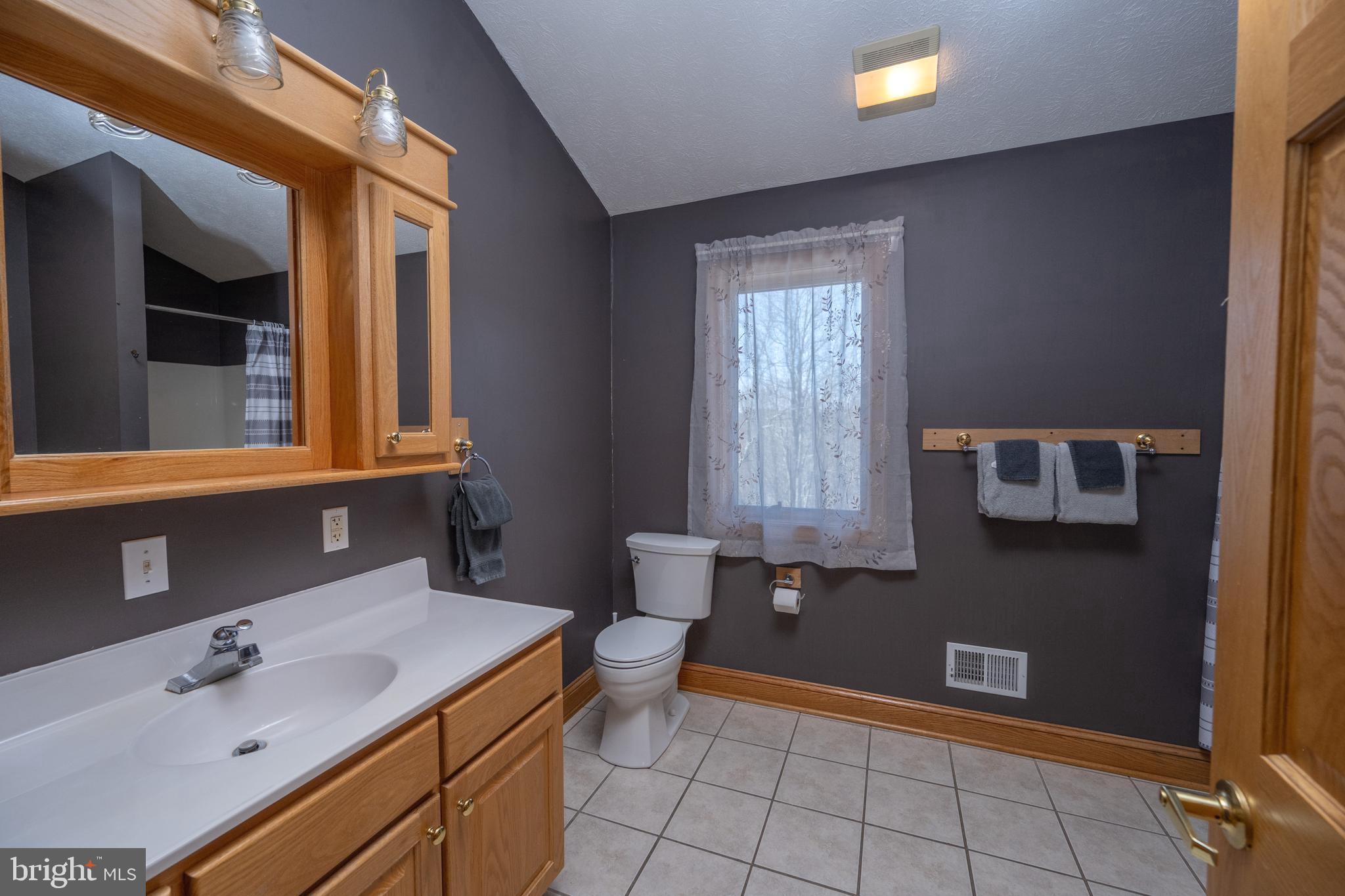 723 Pinnacle Drive Swanton, MD 21561 - Photo 38 of 107 Spa like primary bath.