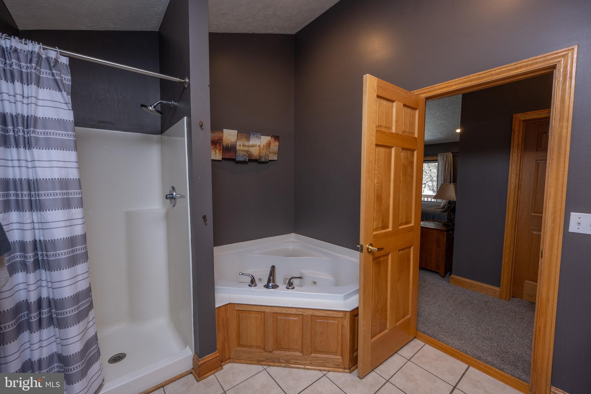 723 Pinnacle Drive Swanton, MD 21561 - Photo 39 of 107 Large jetted tub for the primary bath.