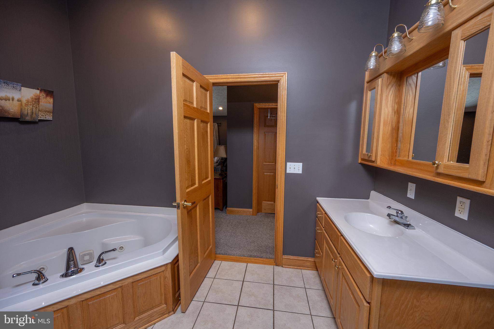 723 Pinnacle Drive Swanton, MD 21561 - Photo 42 of 112 Leading to the walk-in closet.