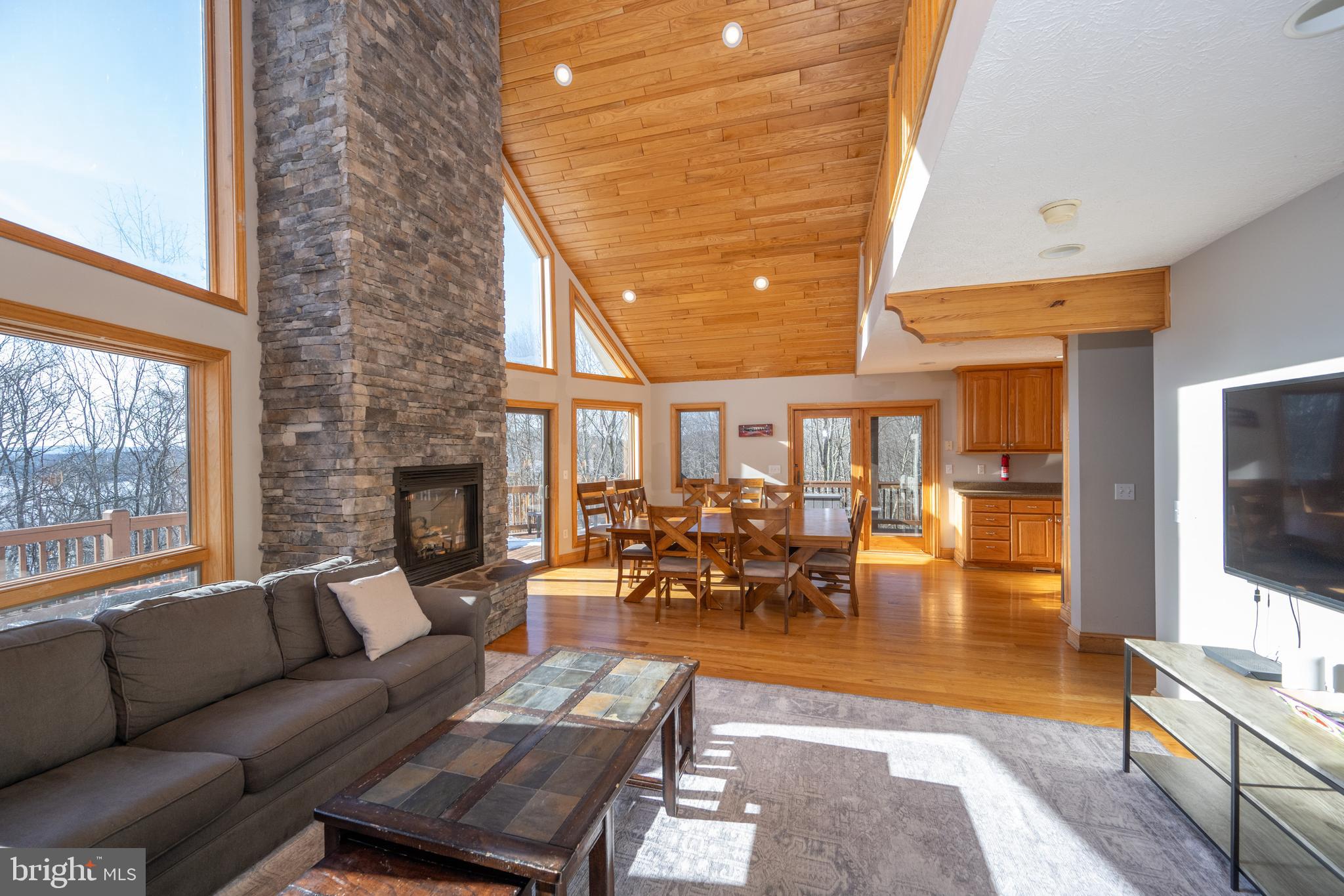 723 Pinnacle Drive Swanton, MD 21561 - Photo 5 of 107 Spacious open concept living area.