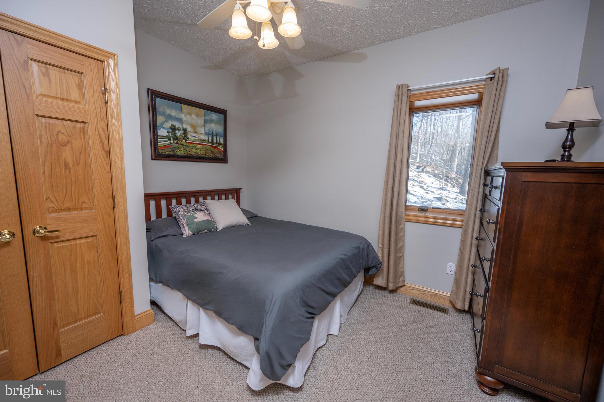 723 Pinnacle Drive Swanton, MD 21561 - Photo 55 of 112 Bedroom #3 in the lower level family room.