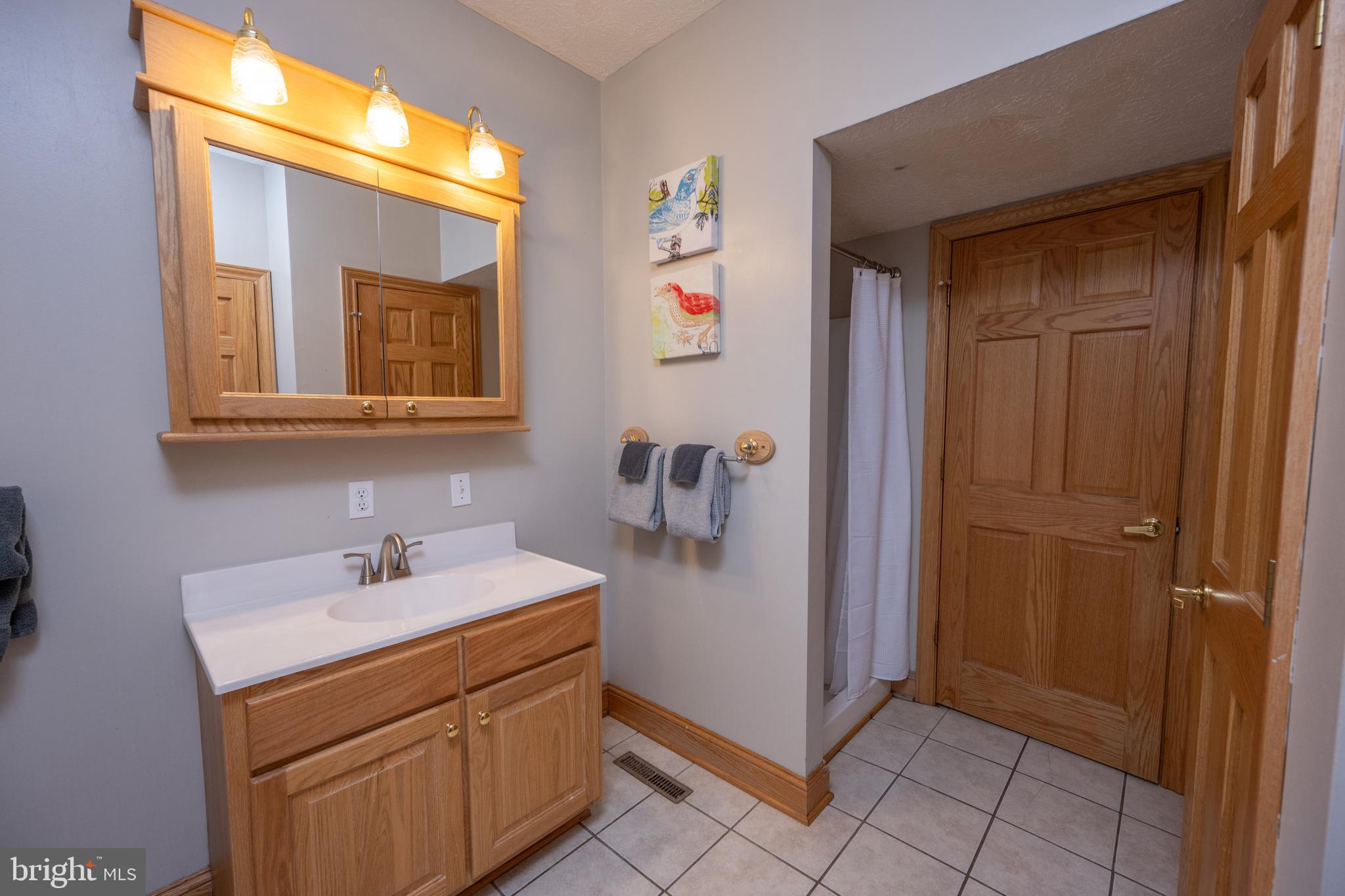 723 Pinnacle Drive Swanton, MD 21561 - Photo 56 of 107 Bath has a tub shower and a seperate shower.