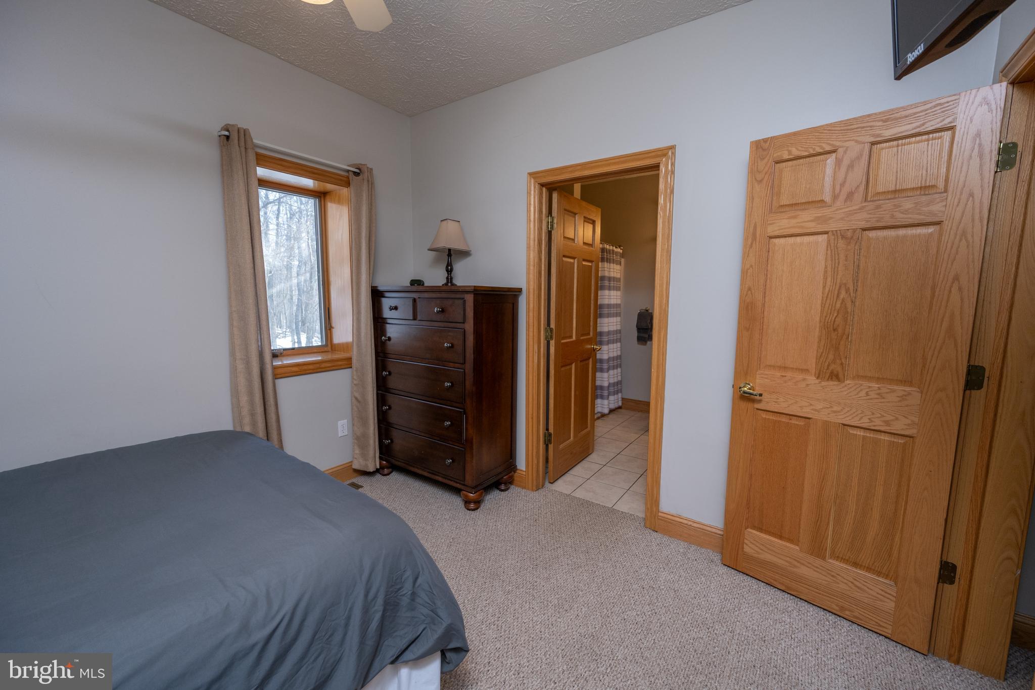 723 Pinnacle Drive Swanton, MD 21561 - Photo 56 of 112 Leading to the bath.