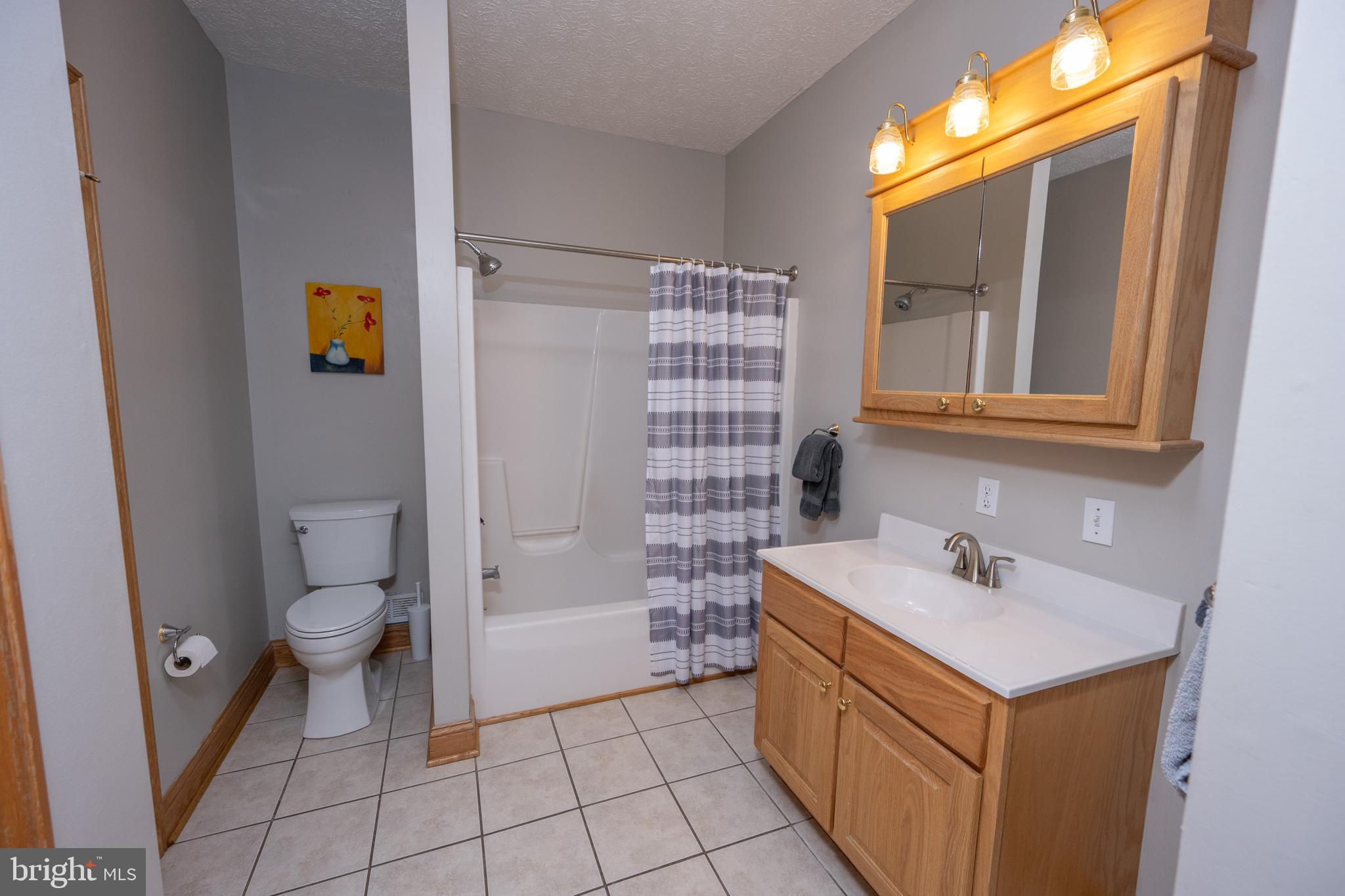 723 Pinnacle Drive Swanton, MD 21561 - Photo 57 of 112 Spacious lower level bath.