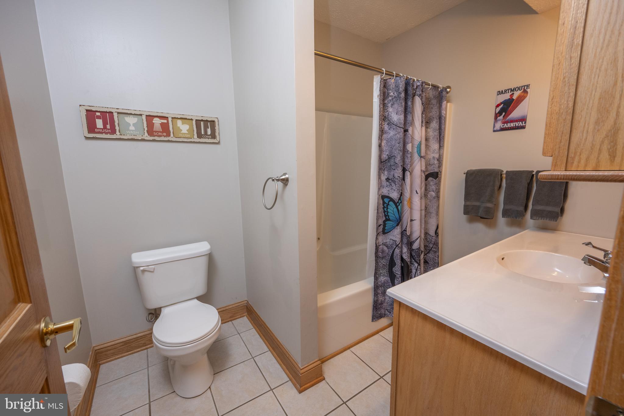 723 Pinnacle Drive Swanton, MD 21561 - Photo 66 of 107 Lower level full bath.