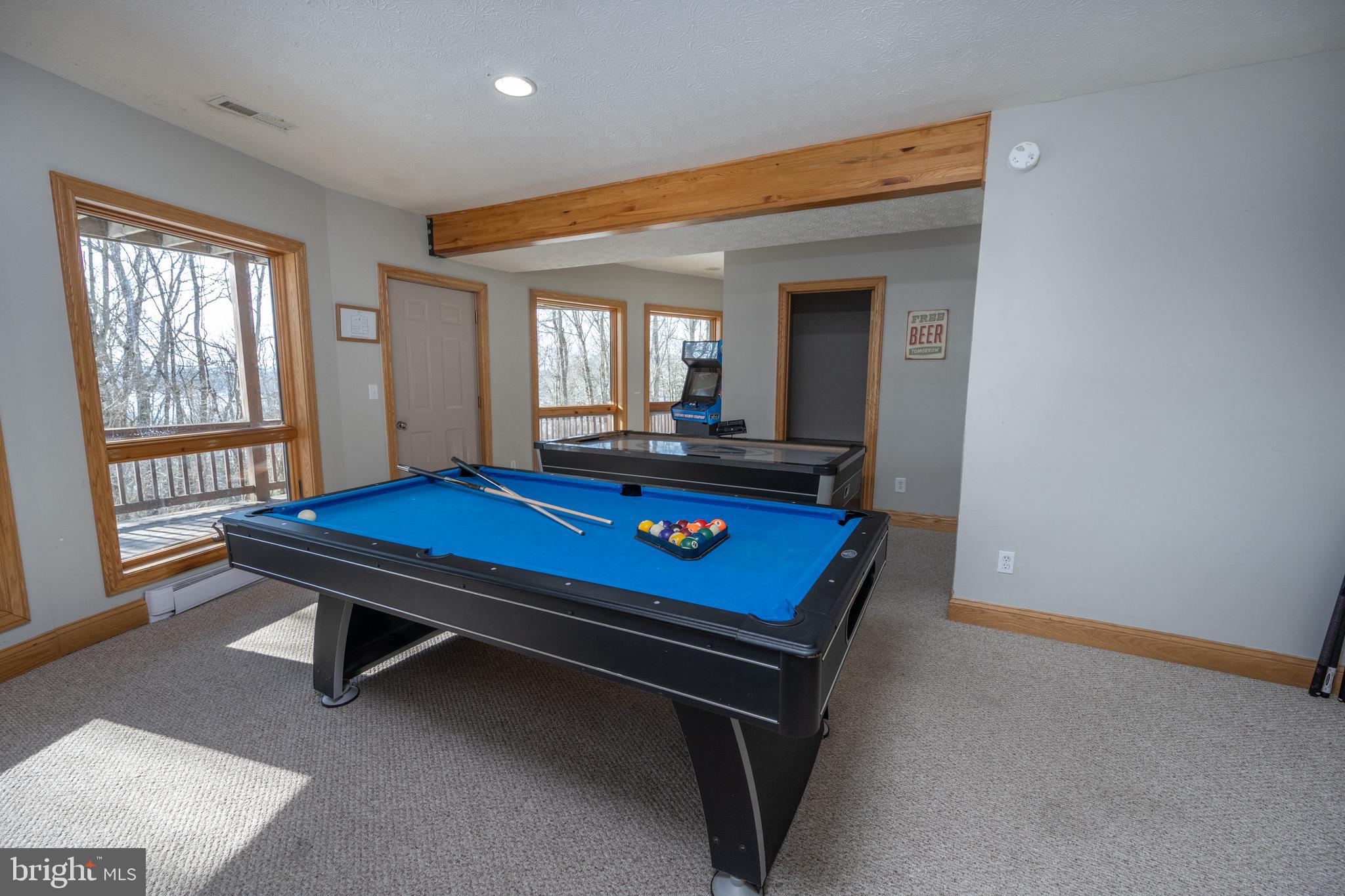 723 Pinnacle Drive Swanton, MD 21561 - Photo 69 of 107 Leading out to the overed hot tub area.
