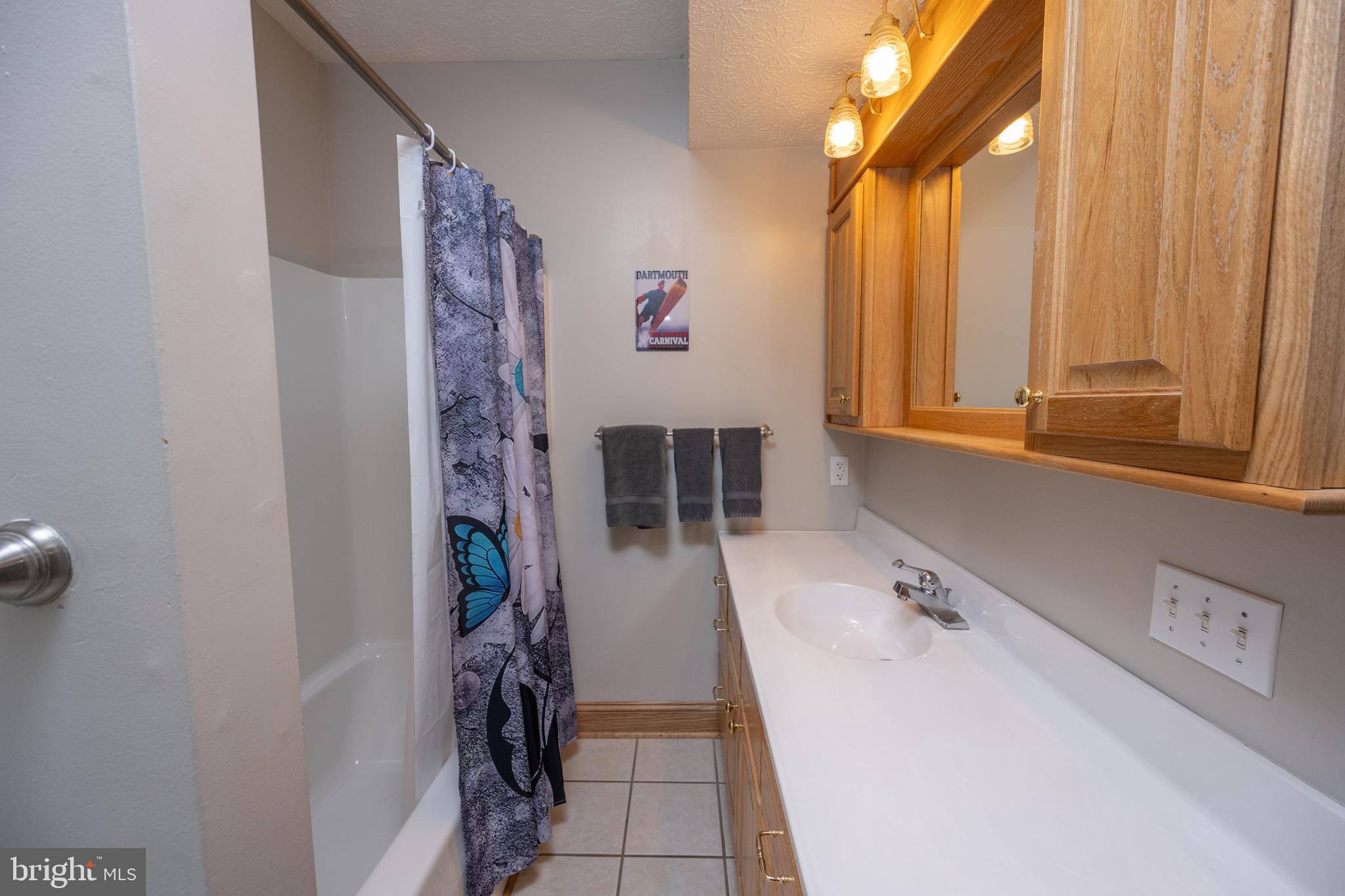 723 Pinnacle Drive Swanton, MD 21561 - Photo 69 of 112 Tub shower in the lower level bath.