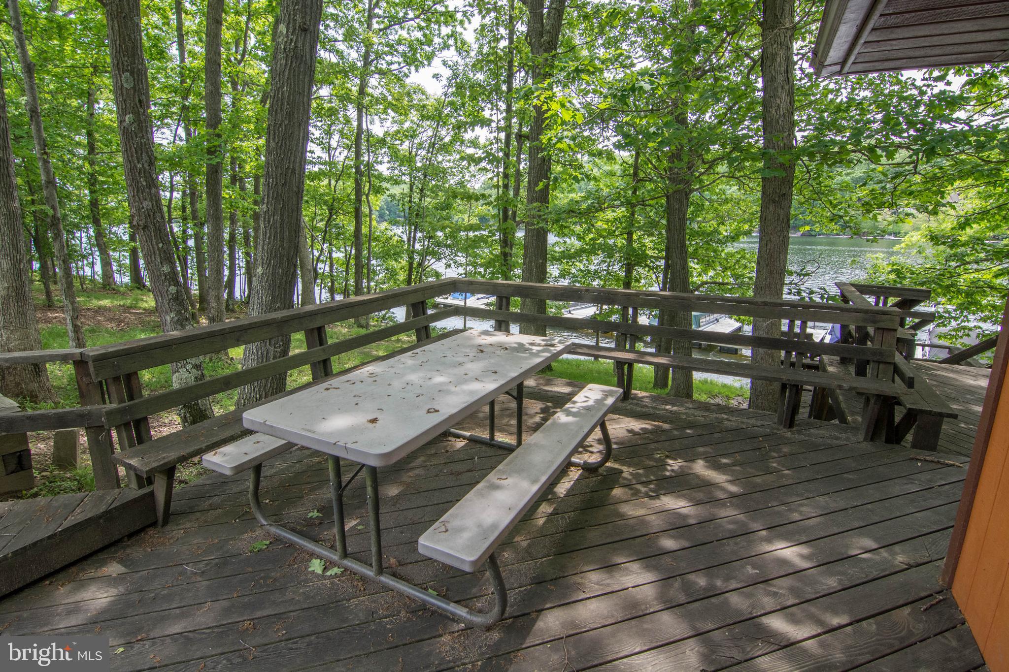 723 Pinnacle Drive Swanton, MD 21561 - Photo 76 of 107 Picnic at the lake.