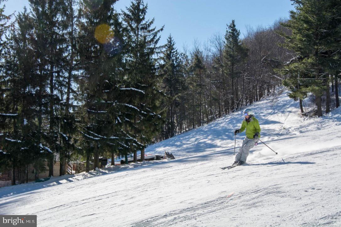 723 Pinnacle Drive Swanton, MD 21561 - Photo 86 of 112 Skiing at Wisp Ski Area.