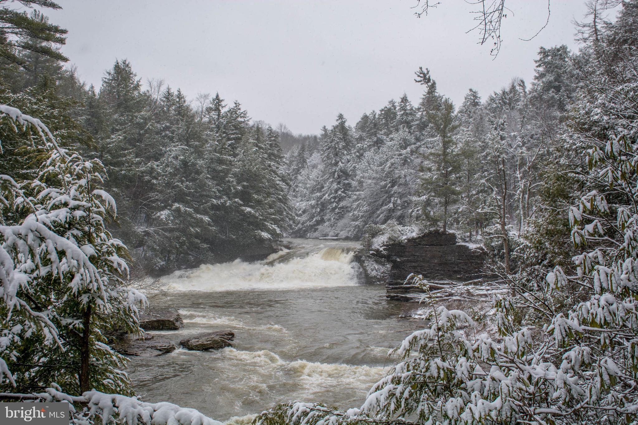 723 Pinnacle Drive Swanton, MD 21561 - Photo 91 of 112 Swallow Falls State Park.