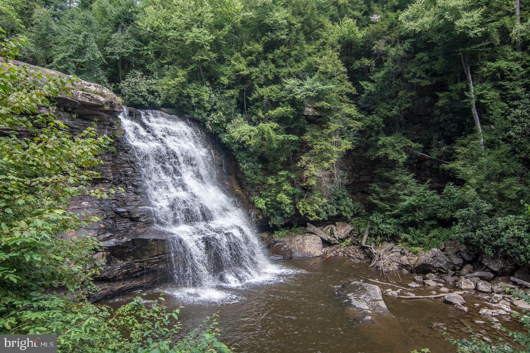 723 Pinnacle Drive Swanton, MD 21561 - Photo 92 of 112 Swallow Falls in the summer.