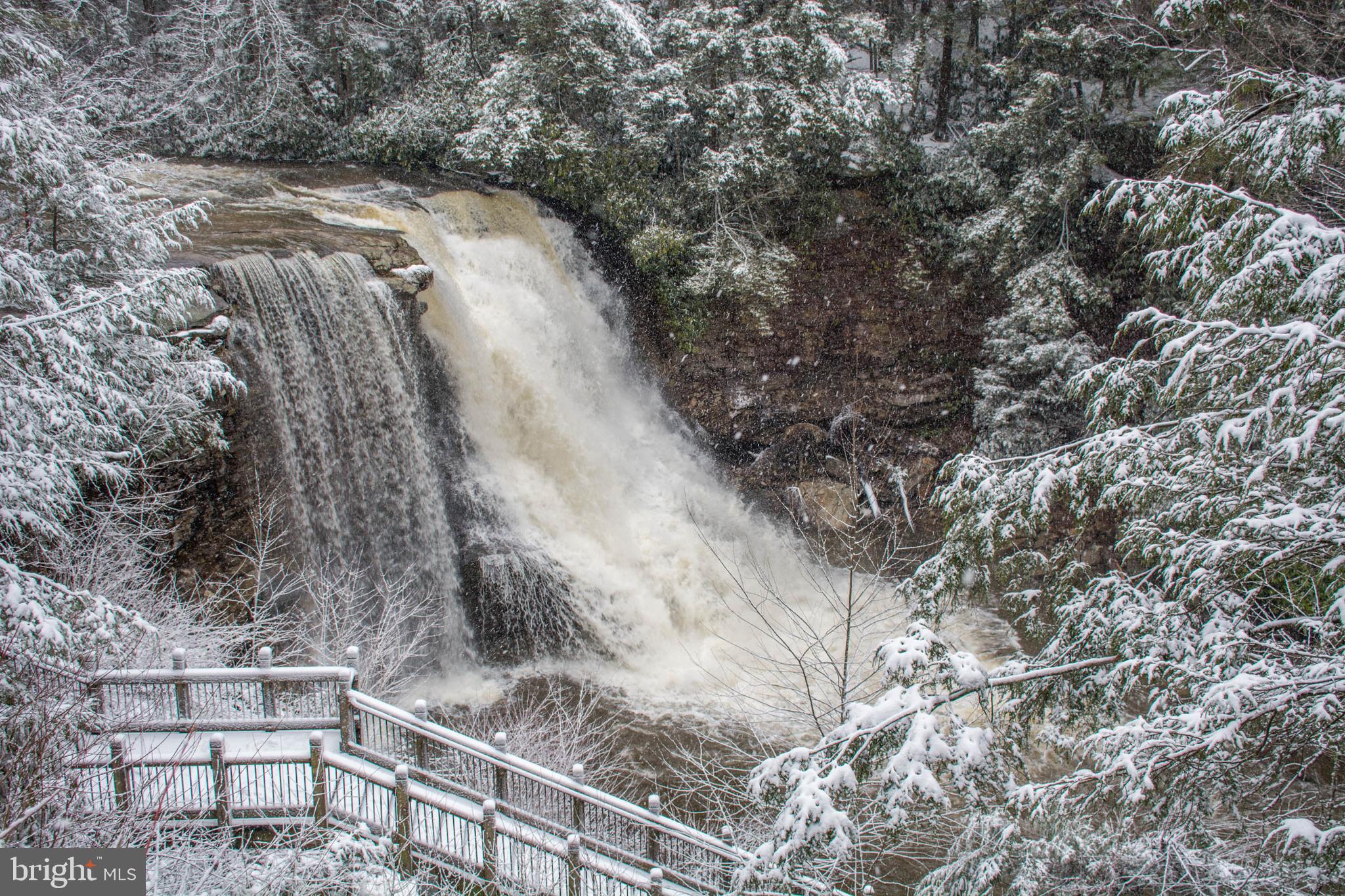 723 Pinnacle Drive Swanton, MD 21561 - Photo 96 of 107 Swallow Falls in the winter.
