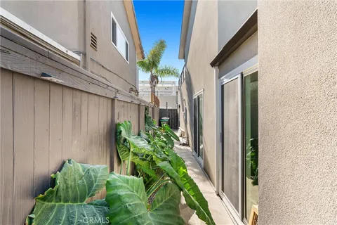 a view of a backyard with plants