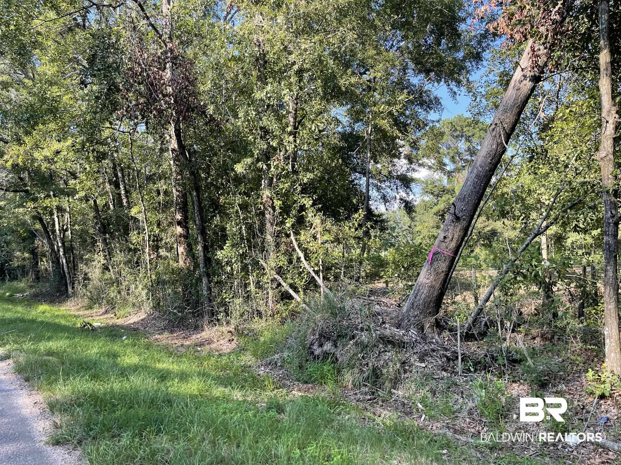 0 Rockhill Road Bay Minette, AL 36507 - Photo 12 of 32