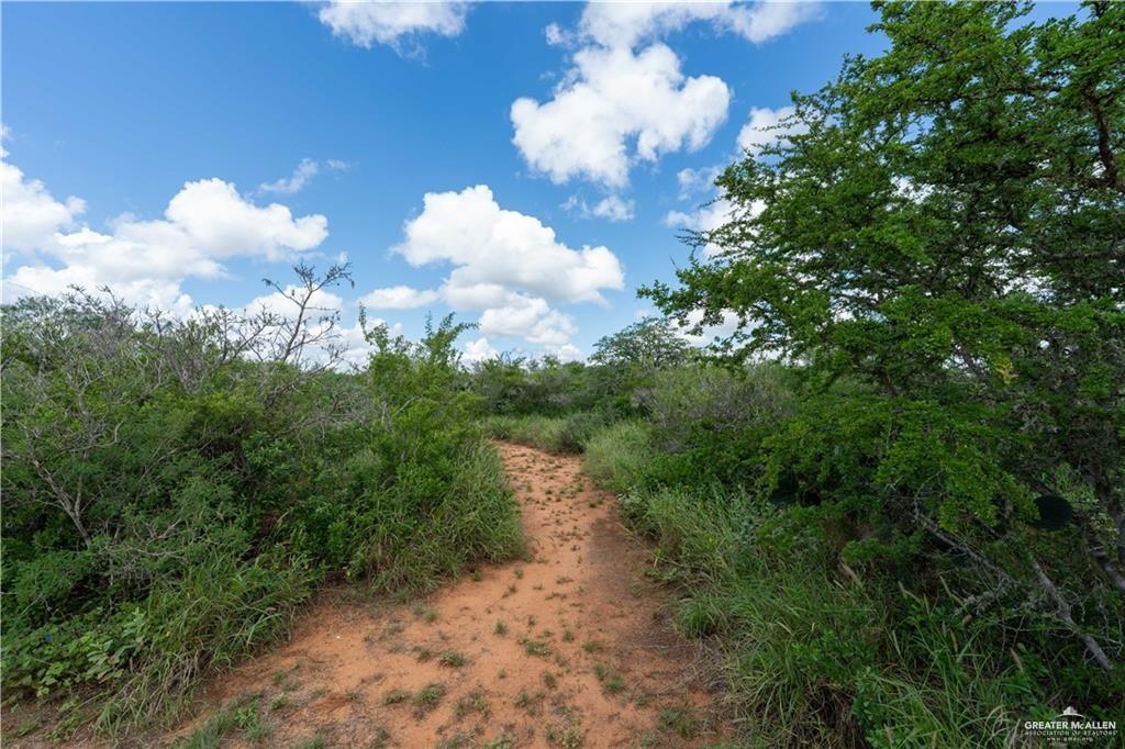 220 Delmita Road Delmita, TX 78536 - Photo 28 of 30