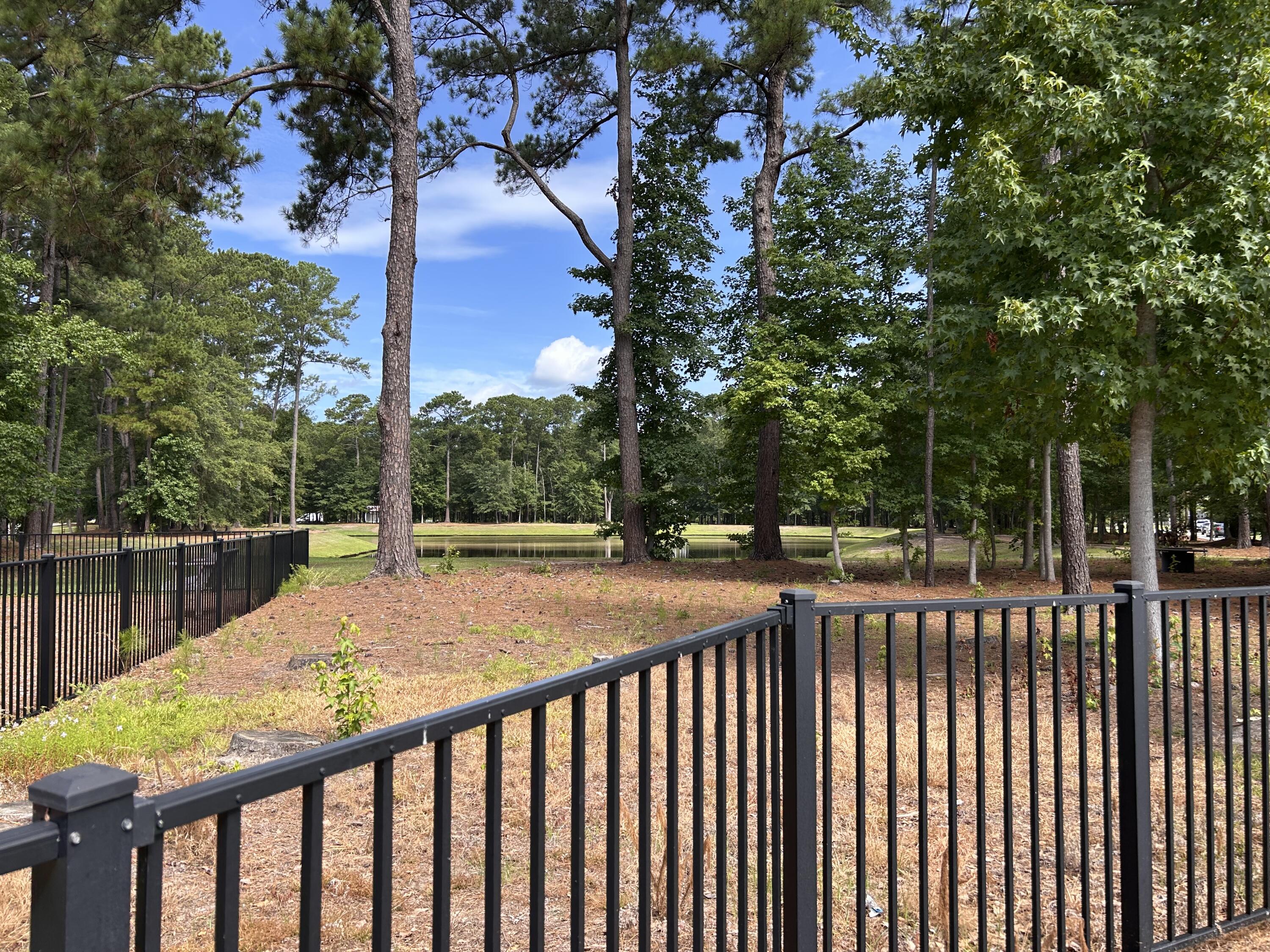 1297 Segar Street Johns Island, SC 29455 - Photo 38 of 40 IMG_8740