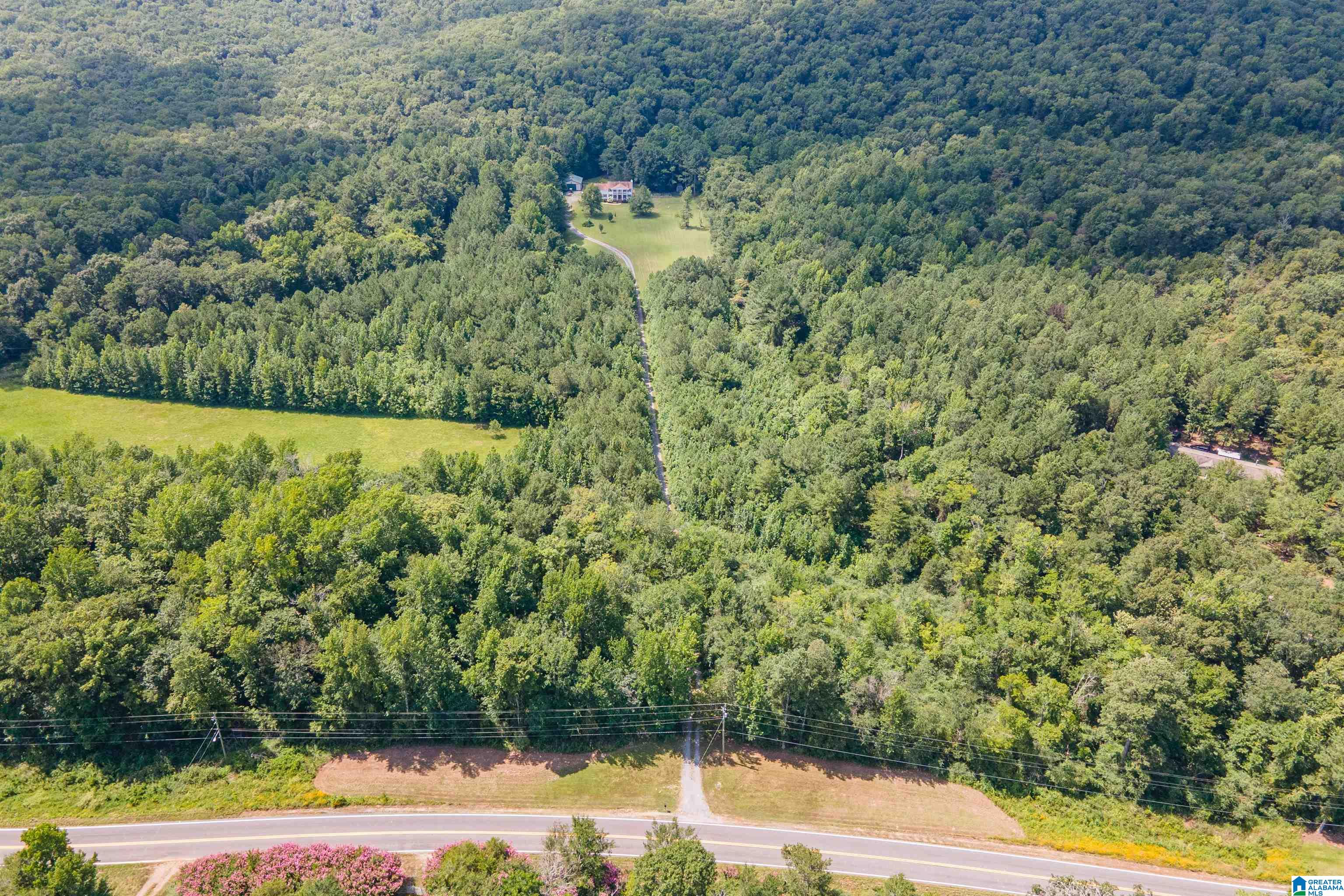 4557 County Road 9 Hayden, AL 35079 - Photo 61 of 66