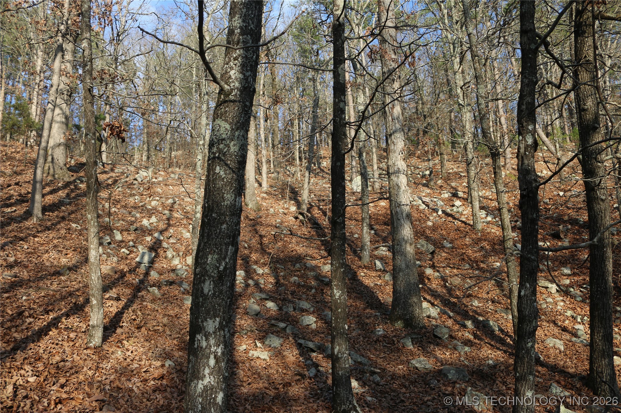 Marsh Loop Loop Smithville, OK 74957 - Photo 40 of 65 Gallery Image 40