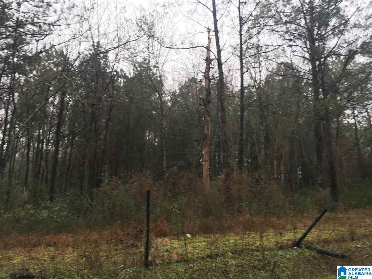 1285 Eureka Road, Unit 1 Lincoln, AL 35096 - Photo 20 of 37
