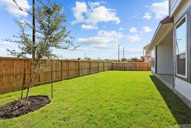 a view of a backyard