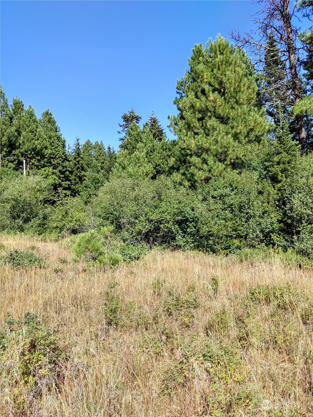 0 Double O (parcel D) Road Ronald, WA 98940 - Photo 5 of 25 Gallery Image 5