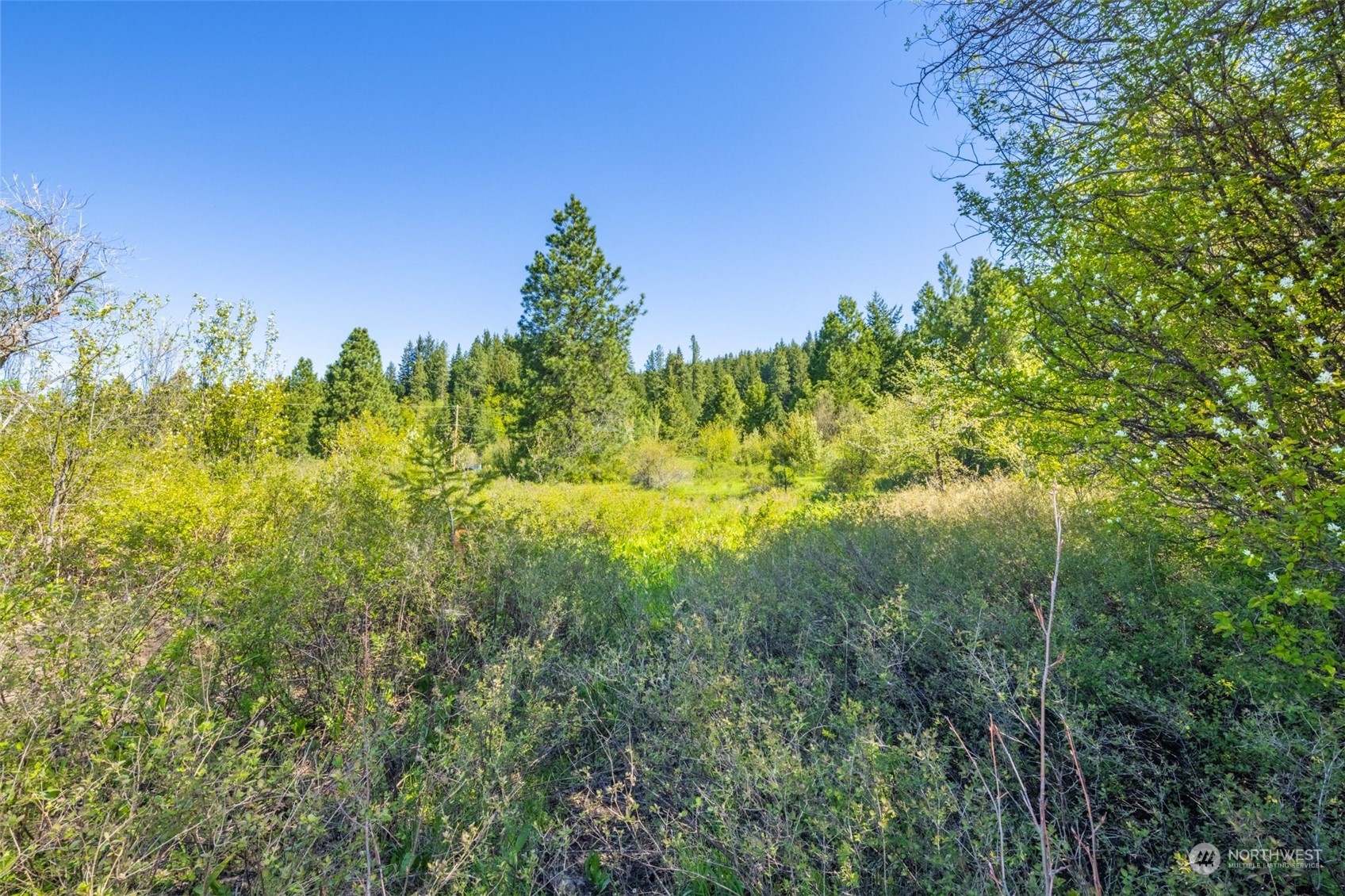 0 Double O (parcel D) Road Ronald, WA 98940 - Photo 6 of 25 Gallery Image 6